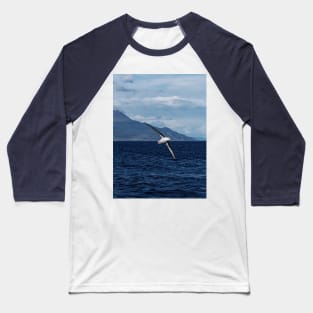 albatros wandering the ocean Baseball T-Shirt